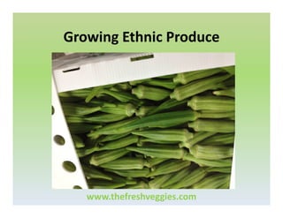 Growing Ethnic Produce

www.thefreshveggies.com

 
