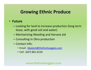 Growing Ethnic Produce
• Future
– Looking for land to increase production (long term
lease, with good soil and water)
– Mechanizing Weeding and Harvest aid
– Consulting in Okra production
– Contact info:
• Email: bbaloch@thefreshveggies.com
• Cell: (647) 861-6150

www.thefreshveggies.com

 
