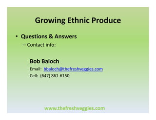 Growing Ethnic Produce
• Questions & Answers
– Contact info:

Bob Baloch
Email: bbaloch@thefreshveggies.com
Cell: (647) 861-6150

www.thefreshveggies.com

 