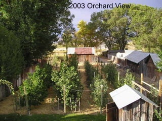 2003 Orchard View
 