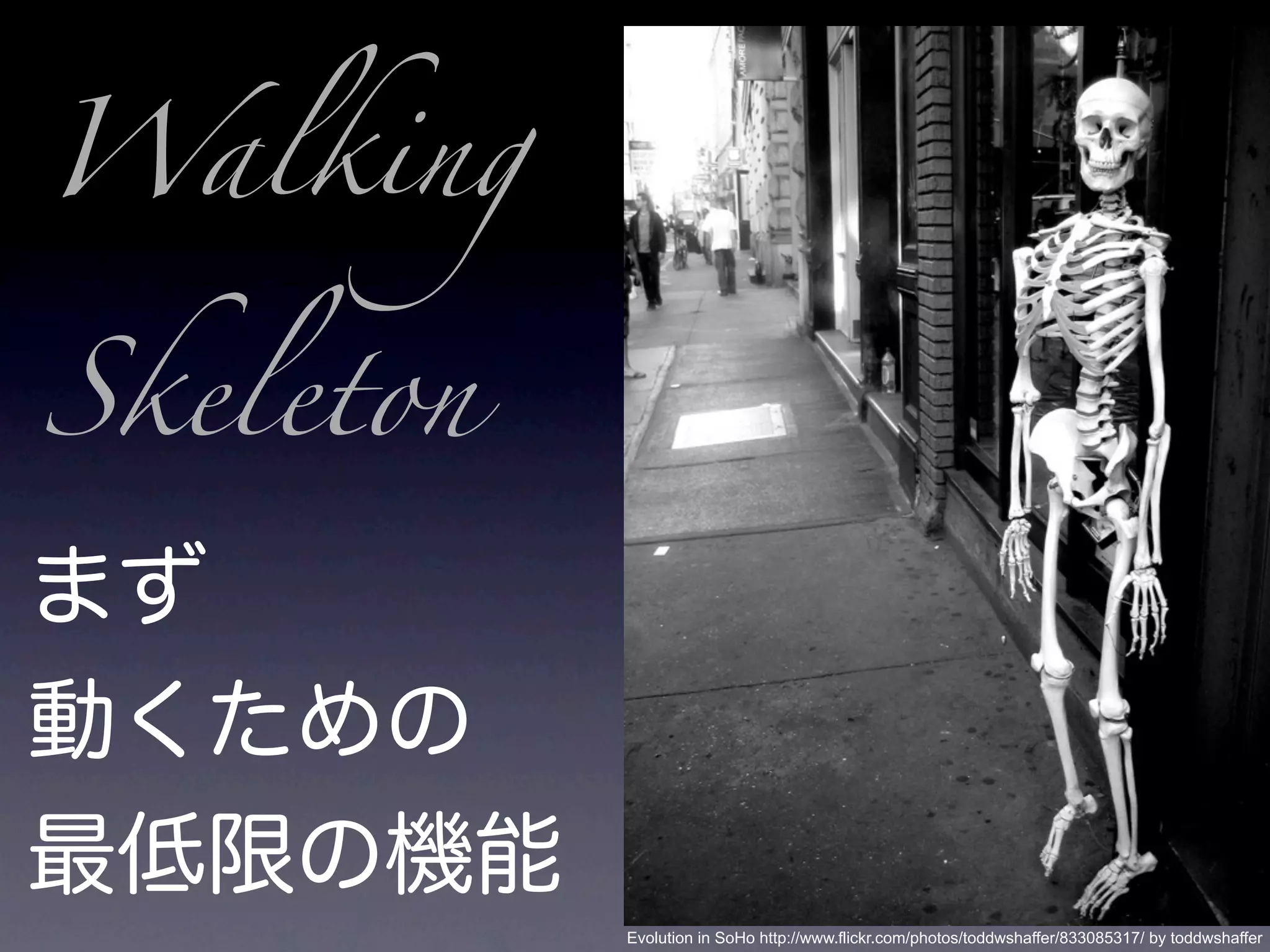Walking

Skeleton




           Evolution in SoHo http://www.flickr.com/photos/toddwshaffer/833085317/ by toddwshaffer
 