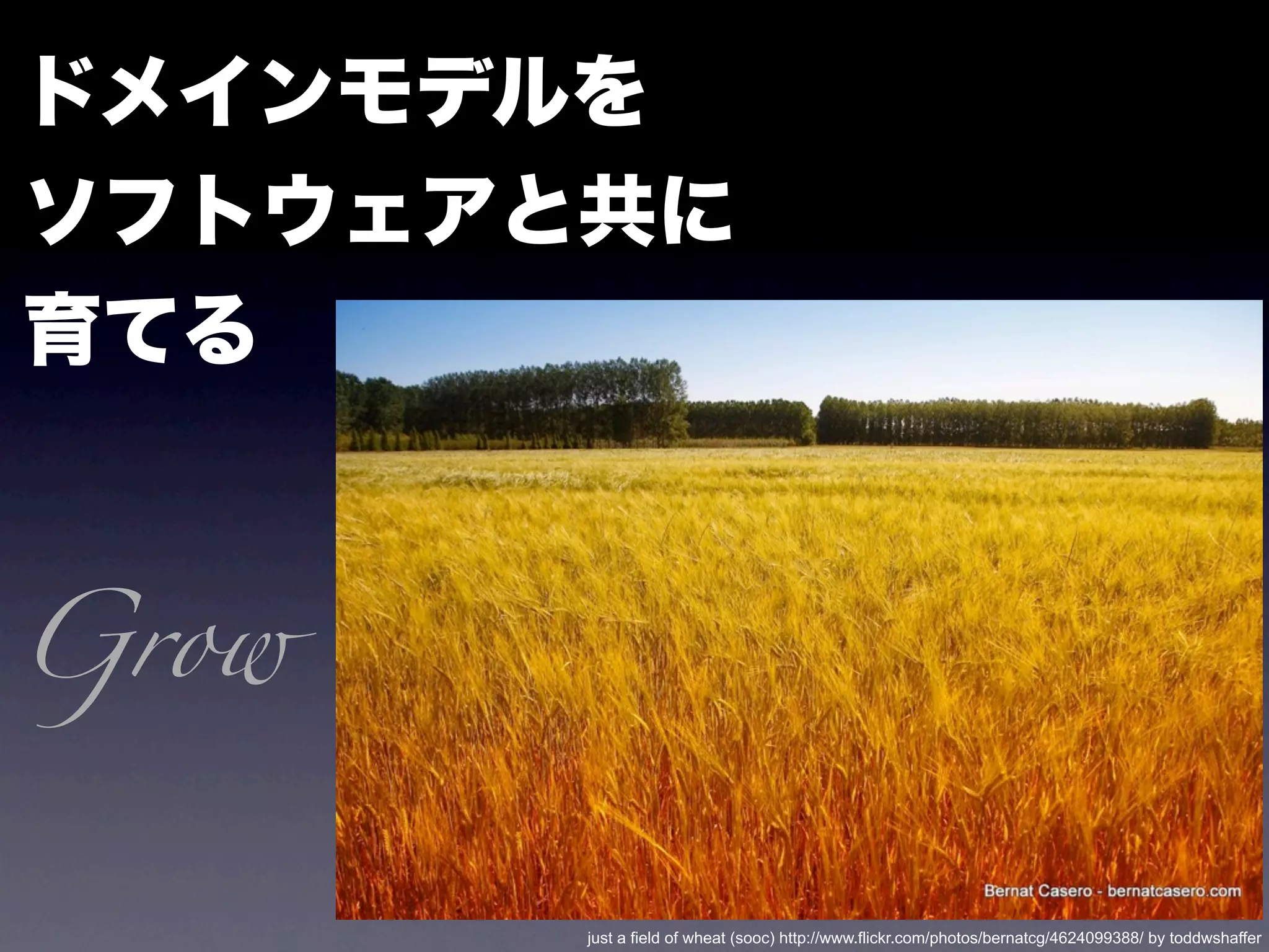 Grow


       just a field of wheat (sooc) http://www.flickr.com/photos/bernatcg/4624099388/ by toddwshaffer
 