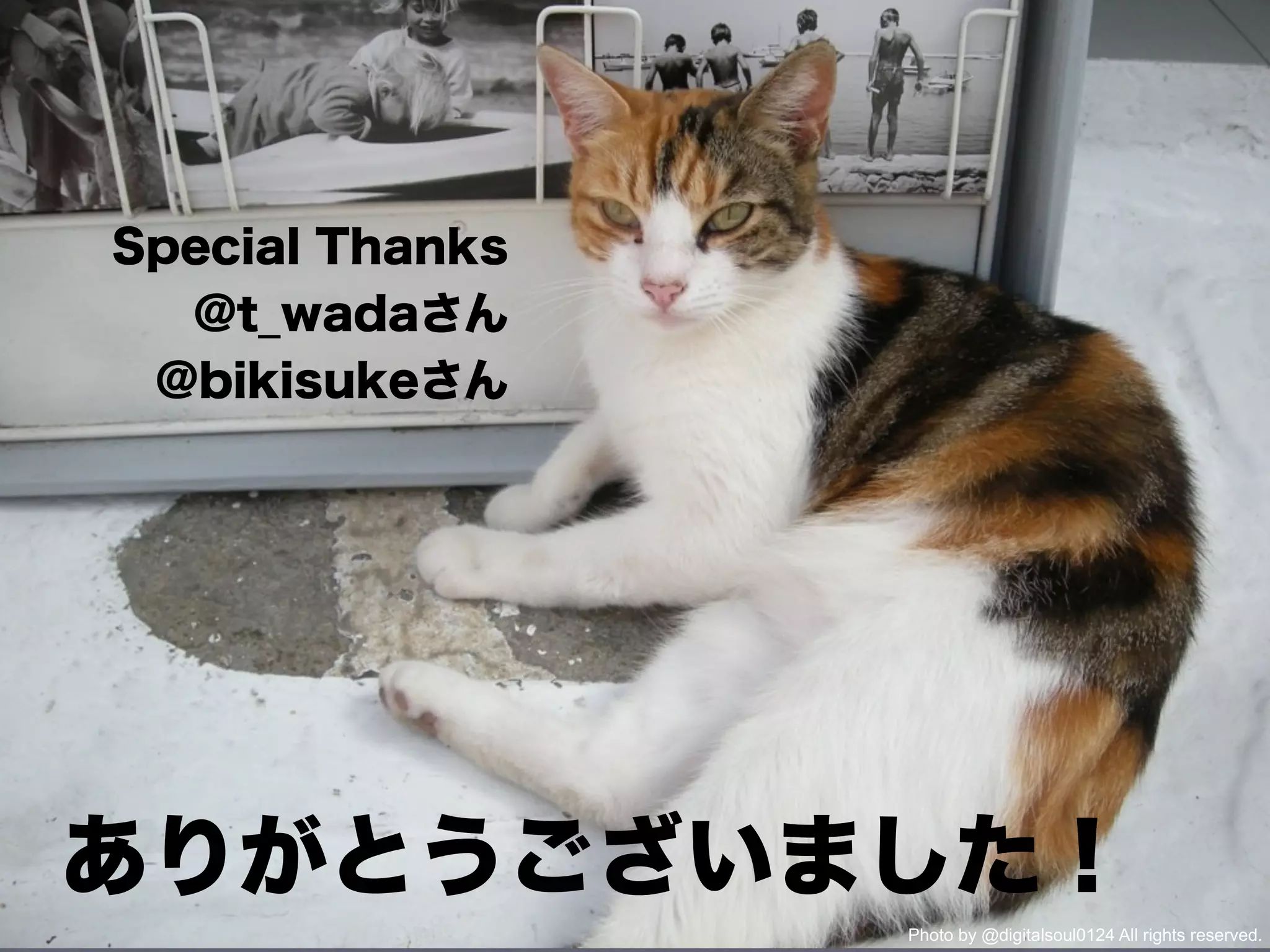 Photo by @digitalsoul0124 All rights reserved.
 