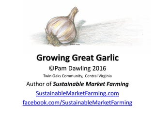 Growing Great Garlic
©Pam Dawling 2016
Twin Oaks Community, Central Virginia
Author of Sustainable Market Farming
SustainableMarketFarming.com
facebook.com/SustainableMarketFarming
©Jessie Doyle
 