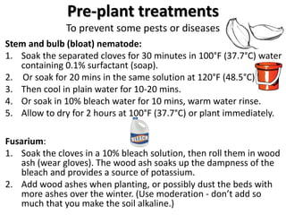 Pre-plant treatments
To prevent some pests or diseases
Stem and bulb (bloat) nematode:
1. Soak the separated cloves for 30...