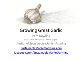 Growing Great Garlic
              Pam Dawling
      Twin Oaks Community, Central Virginia
  Author of Sustainable Market Farming
     SustainableMarketFarming.com
facebook.com/SustainableMarketFarming
 