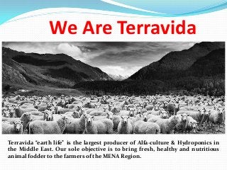We Are Terravida 
Terravida“earthlife”isthelargestproducerofAlfa-culture&HydroponicsintheMiddleEast.Oursoleobjectiveistobringfresh,healthyandnutritiousanimalfoddertothefarmersoftheMENARegion.  