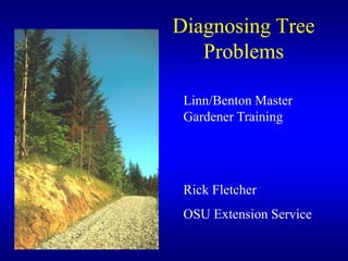 Diagnosing Tree Problems Linn/Benton Master Gardener Training Rick Fletcher OSU Extension Service 