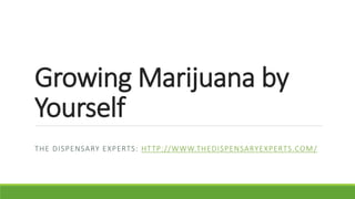 Growing Marijuana by
Yourself
THE DISPENSARY EXPERTS: HTTP://WWW.THEDISPENSARYEXPERTS.COM/
 