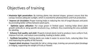 Objectives of training
• Maximize light penetration: By training plants into desired shapes, growers ensure that the
canopy receives adequate sunlight, which is essential for photosynthesis and fruit production.
• Improve air circulation: Proper training helps in reducing the risk of fungal diseases and pests
by promoting better airflow between plant parts.
• Optimize space utilization: For crops grown in limited space, training helps direct plant
growth vertically or along specific structures (e.g., trellises), thus maximizing the area available
for planting.
• Enhance fruit quality and yield: Properly trained plants tend to produce more uniform fruit,
improve fruit size, and reduce overcrowding, leading to better yields.
• Facilitate harvesting: Training plants can make it easier to access fruits, reducing labor time
and improving the quality of the harvest.
• Support plant structure: Especially for tall or vining crops, training can prevent plant breakage
or lodging, supporting the weight of fruits or flowers
 