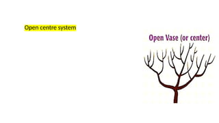 Open centre system
 