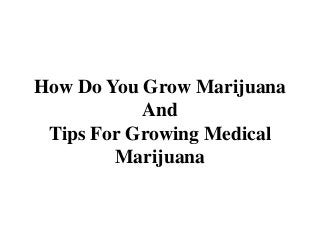 How Do You Grow Marijuana
And
Tips For Growing Medical
Marijuana
 