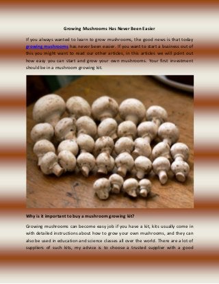 Growing Mushrooms Has Never Been Easier
If you always wanted to learn to grow mushrooms, the good news is that today
growing mushrooms has never been easier. If you want to start a business out of
this you might want to read our other articles, in this articles we will point out
how easy you can start and grow your own mushrooms. Your first investment
should be in a mushroom growing kit.
Why is it important to buy a mushroom growing kit?
Growing mushrooms can become easy job if you have a kit, kits usually come in
with detailed instructions about how to grow your own mushrooms, and they can
also be used in education and science classes all over the world. There are a lot of
suppliers of such kits, my advice is to choose a trusted supplier with a good
 