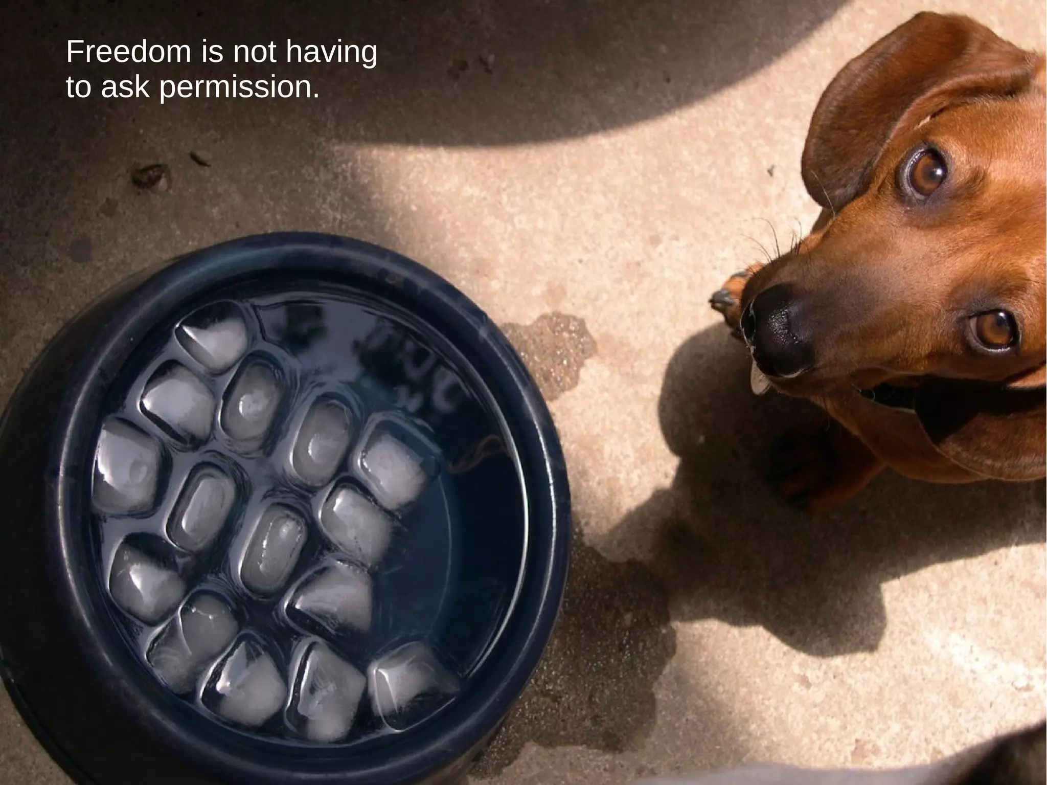 Freedom is not having
to ask permission.
 