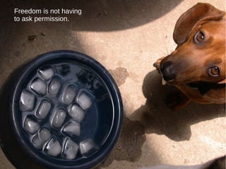 Freedom is not having
to ask permission.

 
