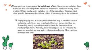 Growing of Cactus plant and also its propagation method ppt | PPTX