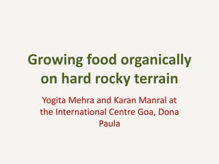 Growing food organically
on hard rocky terrain
Yogita Mehra and Karan Manral at
the International Centre Goa, Dona
Paula
 