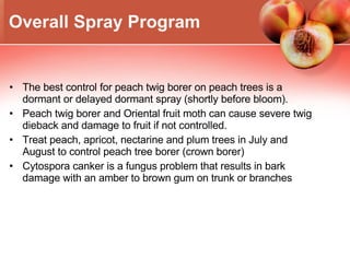 Overall Spray Program The best control for peach twig borer on peach trees is a dormant or delayed dormant spray (shortly before bloom). Peach twig borer and Oriental fruit moth can cause severe twig dieback and damage to fruit if not controlled. Treat peach, apricot, nectarine and plum trees in July and August to control peach tree borer (crown borer) Cytospora canker is a fungus problem that results in bark damage with an amber to brown gum on trunk or branches 