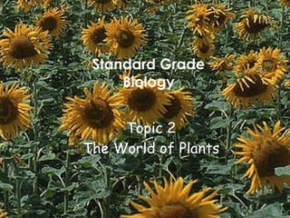 Topic 2 The World of Plants Standard Grade Biology 