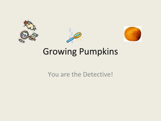 Growing Pumpkins
You are the Detective!
 