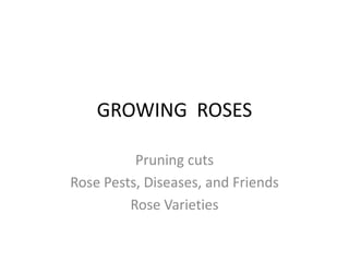 GROWING ROSES
Pruning cuts
Rose Pests, Diseases, and Friends
Rose Varieties
 