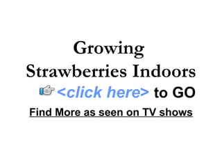 Growing
Strawberries Indoors
    <click here> to GO
Find More as seen on TV shows
 
