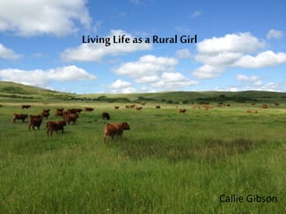 Living Life as a Rural Girl

Callie Gibson

 