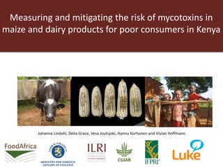 Measuring and mitigating the risk of mycotoxins in
maize and dairy products for poor consumers in Kenya
Johanna Lindahl, Delia Grace, Vesa Joutsjoki, Hannu Korhonen and Vivian Hoffmann
 