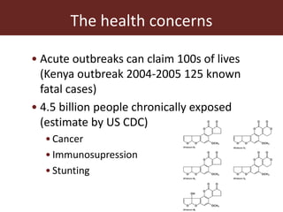 Measuring and mitigating the risk of mycotoxins in maize and dairy products for poor consumers in Kenya