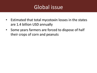 Measuring and mitigating the risk of mycotoxins in maize and dairy products for poor consumers in Kenya