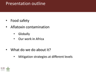 Measuring and mitigating the risk of mycotoxins in maize and dairy products for poor consumers in Kenya