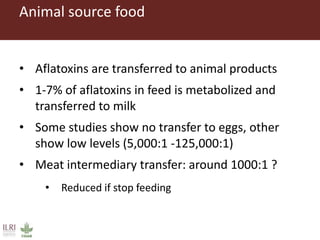 Measuring and mitigating the risk of mycotoxins in maize and dairy products for poor consumers in Kenya