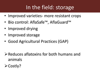 Measuring and mitigating the risk of mycotoxins in maize and dairy products for poor consumers in Kenya