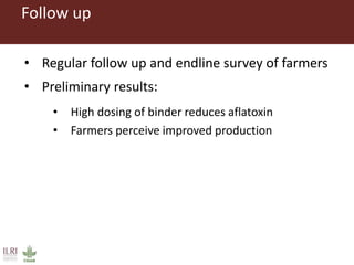 Measuring and mitigating the risk of mycotoxins in maize and dairy products for poor consumers in Kenya