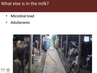 Measuring and mitigating the risk of mycotoxins in maize and dairy products for poor consumers in Kenya