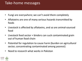 Measuring and mitigating the risk of mycotoxins in maize and dairy products for poor consumers in Kenya