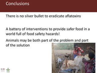 Measuring and mitigating the risk of mycotoxins in maize and dairy products for poor consumers in Kenya