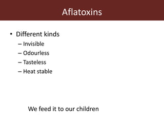 Measuring and mitigating the risk of mycotoxins in maize and dairy products for poor consumers in Kenya