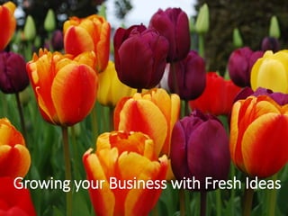 Growing your Business with Fresh Ideas
 