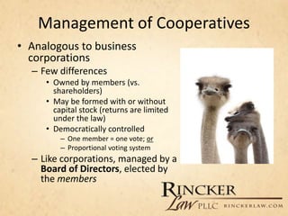 Management of Cooperatives
• Analogous to business
corporations
– Few differences
• Owned by members (vs.
shareholders)
• May be formed with or without
capital stock (returns are limited
under the law)
• Democratically controlled
– One member = one vote; or
– Proportional voting system
– Like corporations, managed by a
Board of Directors, elected by
the members
 