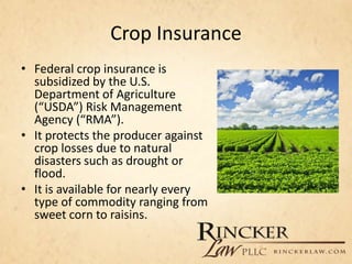 Crop Insurance
• Federal crop insurance is
subsidized by the U.S.
Department of Agriculture
(“USDA”) Risk Management
Agency (“RMA”).
• It protects the producer against
crop losses due to natural
disasters such as drought or
flood.
• It is available for nearly every
type of commodity ranging from
sweet corn to raisins.
 