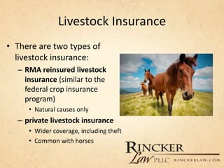 Livestock Insurance
• There are two types of
livestock insurance:
– RMA reinsured livestock
insurance (similar to the
federal crop insurance
program)
• Natural causes only
– private livestock insurance
• Wider coverage, including theft
• Common with horses
 