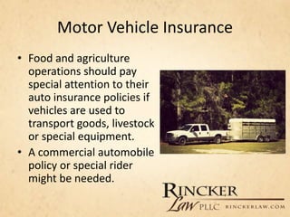 Motor Vehicle Insurance
• Food and agriculture
operations should pay
special attention to their
auto insurance policies if
vehicles are used to
transport goods, livestock
or special equipment.
• A commercial automobile
policy or special rider
might be needed.
 