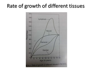 Rate of growth of different tissues
 
