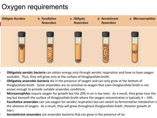 Bacterial Growth and Nutrition | PPT