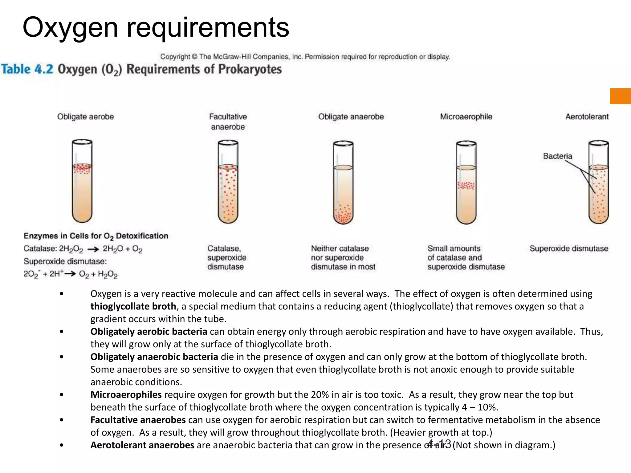 bacterial Growth curve and nutrition of bacteria.ppt