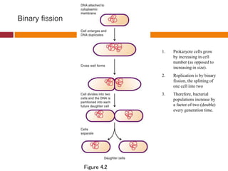 bacterial Growth curve and nutrition of bacteria.ppt