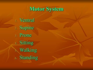 Motor System
1. Ventral
2. Supine
3. Prone
4. Sitting
5. Walking
6. Standing
 