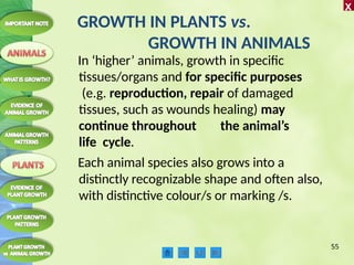 What Grows Example gROWTH GRADE 11 The process of growingAS | PPTX