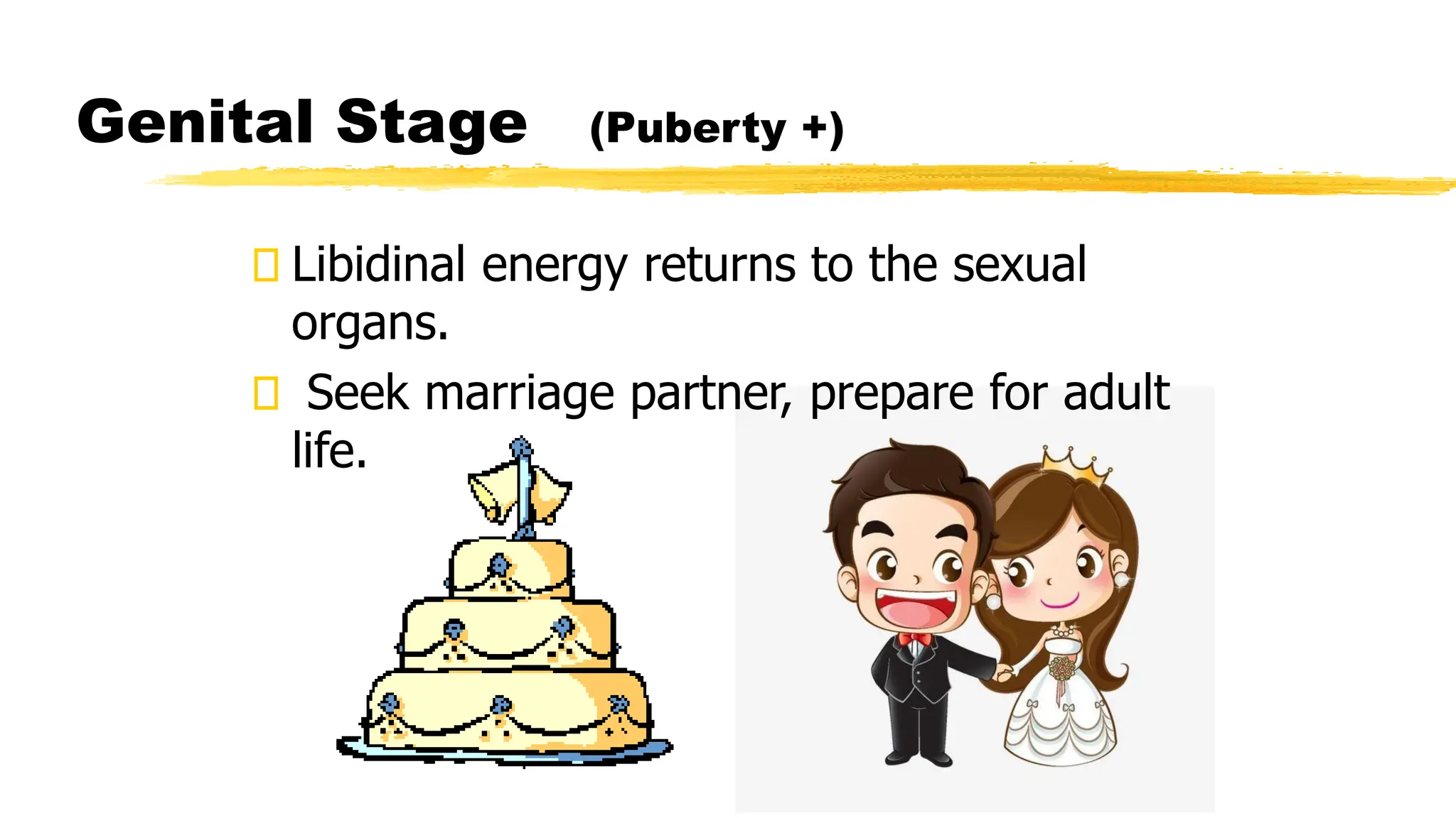 Genital Stage (Puberty +)
Libidinal energy returns to the sexual
organs.
Seek marriage partner, prepare for adult
life.
 